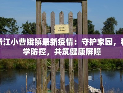 老婆你辛苦了舞蹈：一曲温柔的致敬与感动