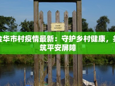 金华市村疫情最新：守护乡村健康，共筑平安屏障