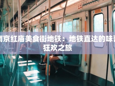 南京红庙美食街地铁：地铁直达的味蕾狂欢之旅