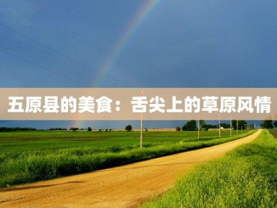 五原县的美食：舌尖上的草原风情