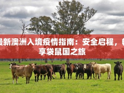 庆城县的美食之旅：一尝西北风情的独特韵味