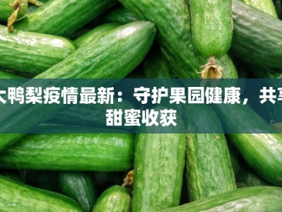 正宁疫情最新通知