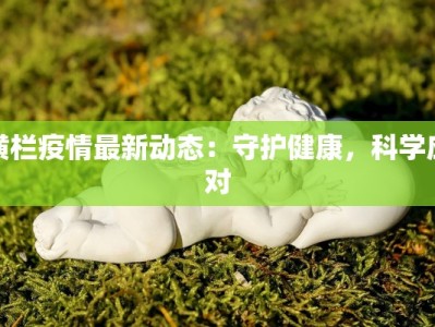 最新疫情息县：守护家园，科学防控新篇章