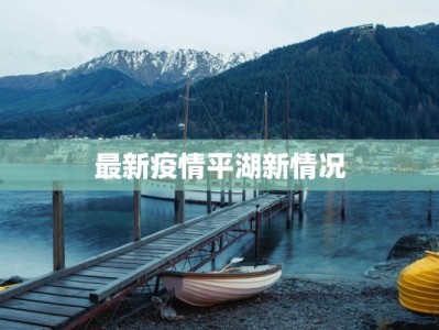 菏泽最新疫情最新数据：守护健康，共克时艰