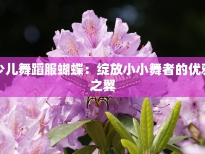 少儿舞蹈服蝴蝶：绽放小小舞者的优雅之翼