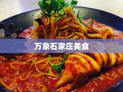 万象石家庄美食