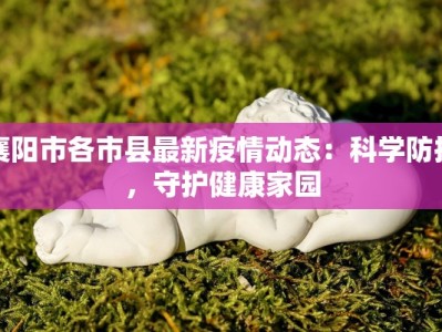 郑州疫情最新情况：科学防控，共克时艰