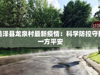 大石疫情最新通报：守护健康，科学防控，共筑安全防线