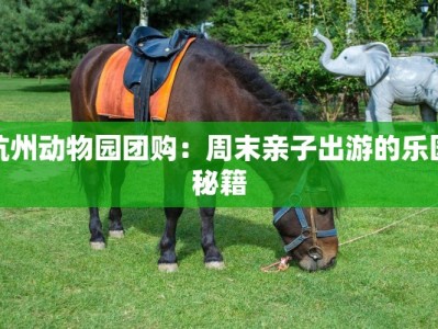 杭州动物园团购：周末亲子出游的乐园秘籍