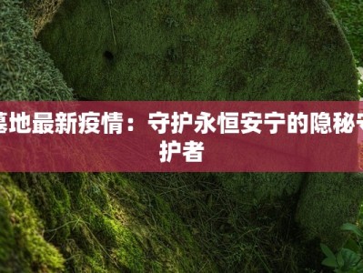 墓地最新疫情：守护永恒安宁的隐秘守护者