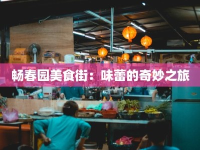 畅春园美食街：味蕾的奇妙之旅