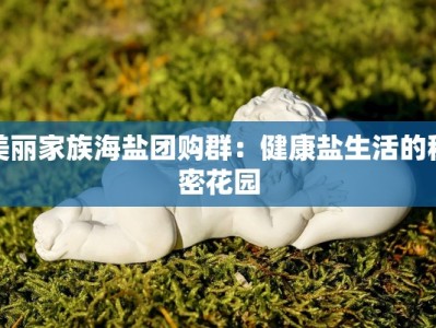 美丽家族海盐团购群：健康盐生活的秘密花园