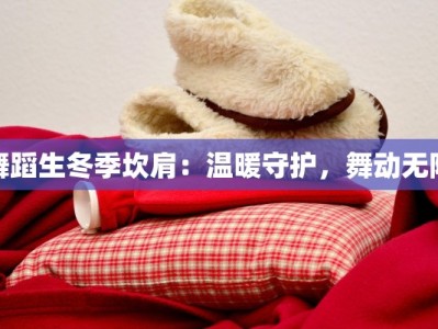 舞蹈生冬季坎肩：温暖守护，舞动无限