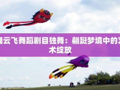 湘云飞舞蹈剧目独舞：翩跹梦境中的艺术绽放