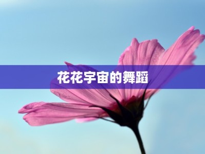 花花宇宙的舞蹈