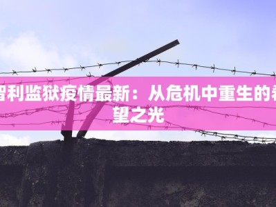 泰国料理团购大理：味蕾上的热带狂欢