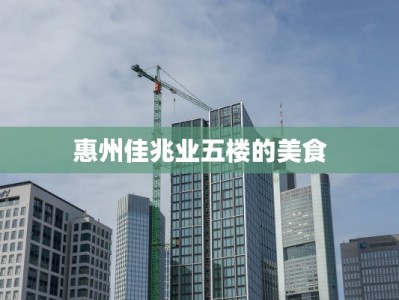 惠州佳兆业五楼的美食