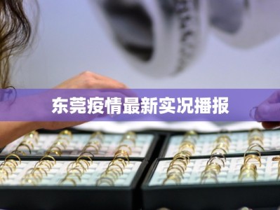 东莞疫情最新实况播报