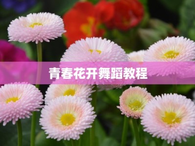 青春花开舞蹈教程