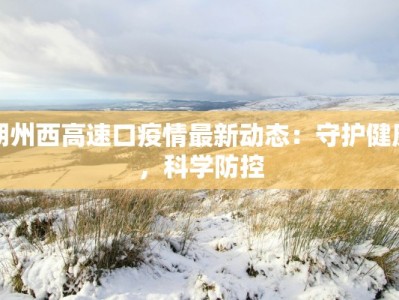 朔州西高速口疫情最新动态：守护健康，科学防控